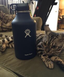 Hydro Flask Water Bottle - Stainless Steel & Vacuum Insulated - Wide Mouth with Leak Proof Flex Cap - 64 oz, Cobalt 1 Count 29 71CGpRqxwTL