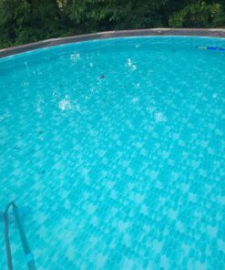 Intex Basic Pool Maintenance Kit for Above Ground Pools 38 71CIIBFwHtL