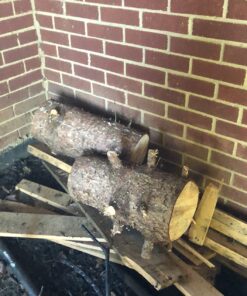 Estwing E-5 5 Lb Sure Split Wedge , Blue 43 71CIldSI9CL