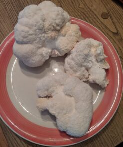 The Essential Guide to Cultivating Mushrooms: Simple and Advanced Techniques for Growing Shiitake, Oyster, Lion's Mane, and Maitake Mushrooms at Home Paperback 11 71COPp2qG9L