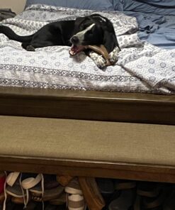 Benebone Wishbone Durable Dog Chew Toy for Aggressive Chewers, Real Bacon, Made in USA, Medium 36 71CR0LovbTL