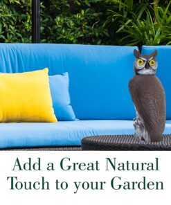Dalen Fake Owl Decoy to Scare Birds Away from Gardens, Rooftops, and Patios - Scarecrow Provides Chemical-Free Pest Control - Safe and Humane, 18" 360º Rotating Head 26 71CRh1dWTDS