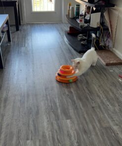 Catstages Tower of Tracks Interactive 3-Tier Cat Toy 25 71CUTVhgadL