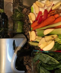 Omega NC800HDS Cold Press Juicer Machine, Vegetable and Fruit Juice Extractor and Nutrition System, Dual-Stage Slow Masticating Juicer, 150 W, Silver 34 71CUt2 T4FL