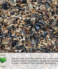 Seed Needs, Italian Herb Seed Packet Collection (5 Individual Seed Varieties for Planting) Non-GMO & Untreated - Oregano, Basil, Rosemary, Sage and Parsley 5 Pack 17 71CV4EeO1CL 4