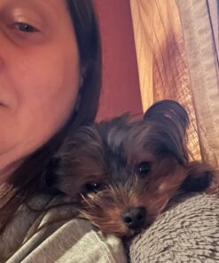 Old Mother Hubbard by Wellness Classic P-Nuttier Natural Dog Treats, Crunchy Oven-Baked Biscuits, Ideal for Training, Mini Size, 20 ounce bag Mini Biscuits Peanut Butter 1.25 Pound (Pack of 1) 33 71CXyjHXtbL