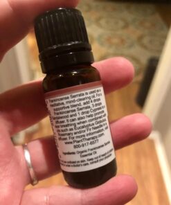 Plant Therapy Organic Frankincense Serrata Essential Oil 100% Pure, USDA Certified Organic, Undiluted, Natural Aromatherapy, Therapeutic Grade 10 mL (1/3 oz) 0.33 Fl Oz (Pack of 1) 27 71CZHesltAL