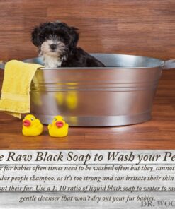 Dr. Woods Raw Black Liquid Castile Soap with Pump, 32 Ounce Coconut 32 Fl Oz (Pack of 1) 14 71CZeWzxRGL