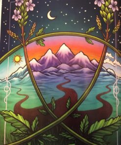 The Illustrated Herbiary: Guidance and Rituals from 36 Bewitching Botanicals (Wild Wisdom) Hardcover, Illustrated 56 71Ca5EC7dcL 1