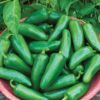 Burpee Big Guy Hot Pepper Seeds 30 seeds 5 71CaWy ylOL