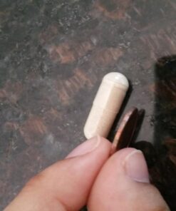 Garden of Life Prenatal Multivitamin for Women with Iron, Folate & Vitamin C and D3 for Neural Development & Probiotics for Immune Support – Vitamin Code – Non-GMO, Gluten-Free, Kosher, 30 Day Supply 90 Count (Pack of 1) 41 71CaZvByZmL