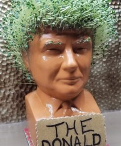 Chia Pet Donald Trump President with Seed Pack, (8" x 4.5" x 7.3") Decorative Pottery Planter, Easy to Do and Fun to Grow, Novelty Gift, Perfect for Any Occasion 29 71CayHyfOaL