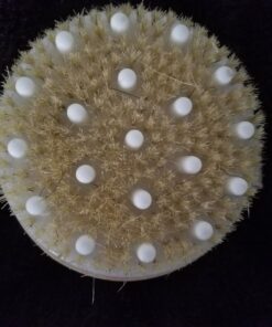 CSM Dry Body Brush for Beautiful Skin - Solid Wood Frame & Boar Hair Exfoliating Brush to Exfoliate & Soften Skin, Improve Circulation, Stop Ingrown Hairs, and Reduce The Appearance Cellulite 50 71CbFtt6 sL