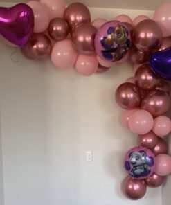 Paw Patrol Girls Pup Skye and Everest Foil Balloons Birthday Party Supplies (5 Piece Bouquet) 12 71CcS rNKKL