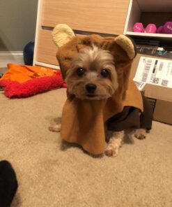 Rubie's Star Wars Ewok Pet Costume, Small S (Neck: 12", Girth: 17", Back: 11") 1 31 71Ce24Lr7L