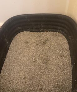 Dr. Elsey’s Premium Clumping Cat Litter - Ultra - 99.9% Dust-Free, Low Tracking, Hard Clumping, Superior Odor Control, Unscented & Natural Ingredients 38 71CeXVaA6jL