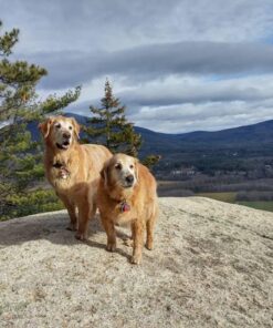 Earth Rated Dog Poop Bags, Guaranteed Leak Proof and Extra Thick Waste Bag Refill Rolls For Dogs, Unscented, 120 Count 120 Bags 43 71CfS 7dnL