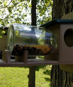 Birds Choice SNSQJAR Recycled Squirrel Jar Feeder, Squirrel Feeders, 7-1/4"L X 19"W X 15-3/4"H, Taupe w/ Green Roof 34 71CfkFsN2XL