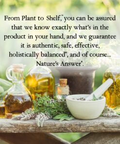 Nature's Answer Astragalus Root 1oz Extract | Promotes Overall Wellbeing | Super Concentrated 2000mg | Alcohol-Free, Gluten-Free, Kosher Certified & No Preservatives | Single Count 1 Fl Oz (Pack of 1) 14 71ChRTflkML 1