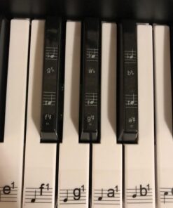 Hamzer 61-Key Portable Electronic Keyboard Piano with Stand, Stool, Headphones, Microphone & Sticker Sheet 65 71CiSYMRR7L