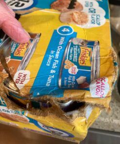 Purina Friskies Gravy Wet Cat Food Variety Pack, Tasty Treasures Prime Filets - 5.5 Ounce (Pack of 12) 5.5 Ounce (Pack of 12) 33 71Cj 7A0 vL 1