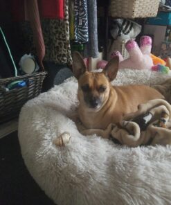 GOOD 'N' FUN Triple Flavor Chews, Rawhide Treats for Dogs 6 Count (Pack of 1) 24 71CjUsx0z L