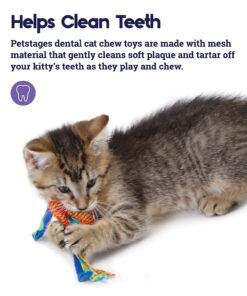 Petstages Dental Health Chews Pair Dental Chew 22 71CkR0Yy4hL