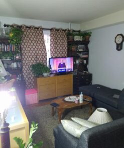 30W Daylight LED Corn Light Bulb for Indoor Outdoor Large Area - E26 Socket 3000Lm 6500K,for Home Street Lamp Post Lighting Garage Factory Warehouse High Bay Barn Porch Backyard Garden Super Bright 30W 39 71Co0aYOHL