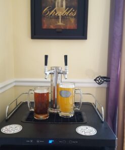 Kegco MDK-309SS-01 Keg Dispenser, Stainless Steel, 2 Tap 25 71CoBUSTIPL