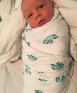 aden + anais Swaddle Blanket, Boutique Muslin Blankets for Girls & Boys, Baby Receiving Swaddles, Ideal Newborn & Infant Swaddling Set, Perfect Shower Gifts, 4 Pack, Jungle Jam 29 71CqrinKLBL