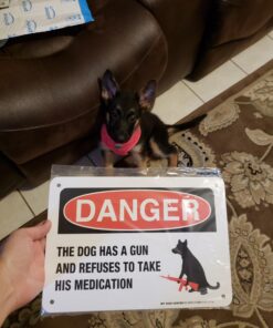 Danger The Dog Has A Gun And Refuses To Take His Medication Sign, 7" x 10" 0.40 Aluminum, Fade Resistance, Indoor/Outdoor Use, USA MADE By My Sign Center 7x10 Aluminum 22 71Cru0w9hQL
