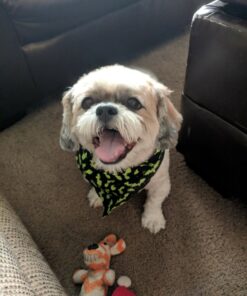 Quaker Instant Oatmeal, 4 Flavor Variety Pack, Individual Packets, 48 Count Variety Pack - Classic 4 Flavor 31 71Csve9mU8L