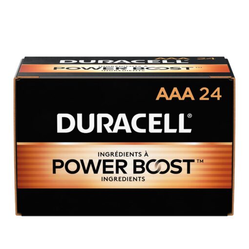 Duracell CopperTop Alkaline AAA Batteries, 24/Box 24 Count (Pack of 1)