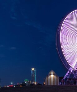 Tokina AT-X PRO DX for digital SLR 11-20mm f/2.8 Pro DX Lens for Nikon F 62 71CtI0w9fJL