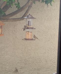 Perky-Pet 325S Panorama Bird Feeder 41 71CtUgtypJL