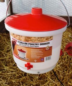 Farm Innovators HB-60P Thermostatically Controlled Heated 2 Gallon Plastic Outdoor Year Round Poultry Chicken Water Bucket Drinker, White/Red Single 17 71CtmXzhVfL