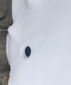 K&H Pet Products Thermal-Bowl Outdoor Heated Dog Bowl Blue 96 Ounces 43 71Cx96YjHvL