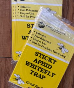 Yellow Sticky Aphid Whitefly Trap Pack of 15 36 71CxMUPXIGL