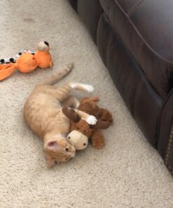 KONG Cozie Marvin Moose, Indoor Cuddle Squeaky Plush Dog Toy for Medium Dogs, Brown, 1 31 71CyOVLSVDL