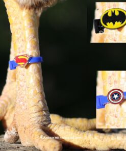 20 Chicken Charm Poultry Leg Bands - Includes Americas Favorite Super Hero's 23 71Cz2N0IbKL