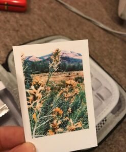 Polaroid 2x3ʺ Premium Zink Photo Paper (50 Pack) Compatible with Polaroid Mint Camera, Snap/Snap Touch Instant Print Cameras and Zip Photo Printers 50 Pack Zink Paper 30 71CzQaVoghL