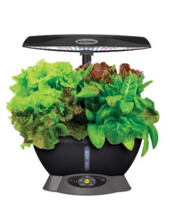 AeroGarden Classic 6 with Gourmet Herb Seed Pod Kit 34 71D5gRFem8L