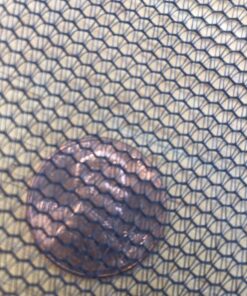 Coleman Back Home Screen Canopy Tent with Instant Setup, Outdoor Gazebo for Bug-Free Lounging, Shelter Fits Over Picnic Tables for Parties, Events, Tailgating, Picnics, & More 12 X 10 Ft 41 71D5kX96QIL