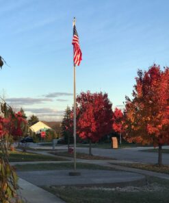 T.W Evans Cordage 44-083 1/4-Inch Solid Braid Nylon Rope 50-Feet Hank 8 71D81TELRRL