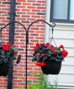 Ashman Shepherds Hook 65 Inch Two Sided Shepherd Hook, 1/2 Inch Thick, Super Strong, Rust Resistant Steel Hook Ideal for Use for Hanging Plant Baskets, Bird Feeders, and Weddings Pack of 1 19 71D9TJLX7WL