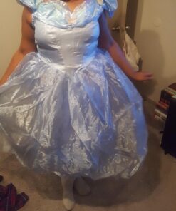 Disney Disguise Women's Cinderella Movie Adult Deluxe Costume Large Blue 24 71DB5QvUS0L