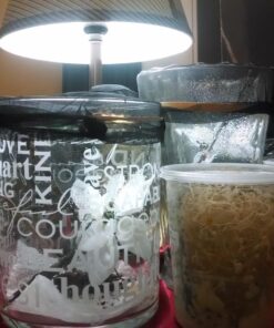 Josh's Frogs The Best MELANOGASTER Fruit Fly Food Media (1.5 lbs/1.35 Quarts - Makes 10 Fruit Fly Cultures) 1.35 Quarts 22 71DCprUgHTL