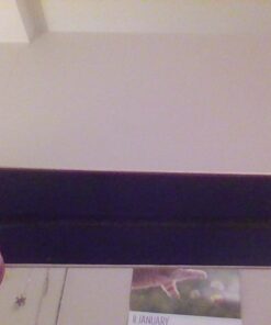 Hermione Granger's Wand with Ollivanders Wand Box 48 71DFHwbzkHL