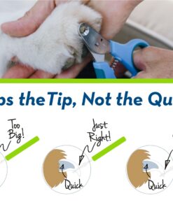 Zen Clipper Pet Nail Clipper for Cats – Cat Nail Clipper for Safer Cat Grooming and Nail Care - Clean, Quiet, and Easy-to-Use Stainless Steel Cat Claw Trimmer - (2.5mm Hole) Small - 2.5mm hole 22 71DFTTUia7L