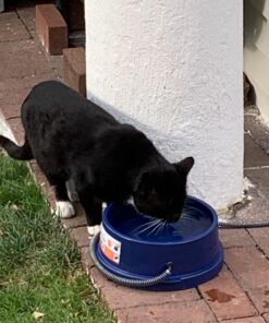 K&H Pet Products Thermal-Bowl Outdoor Heated Dog Bowl Blue 96 Ounces 33 71DFbPVCjWL